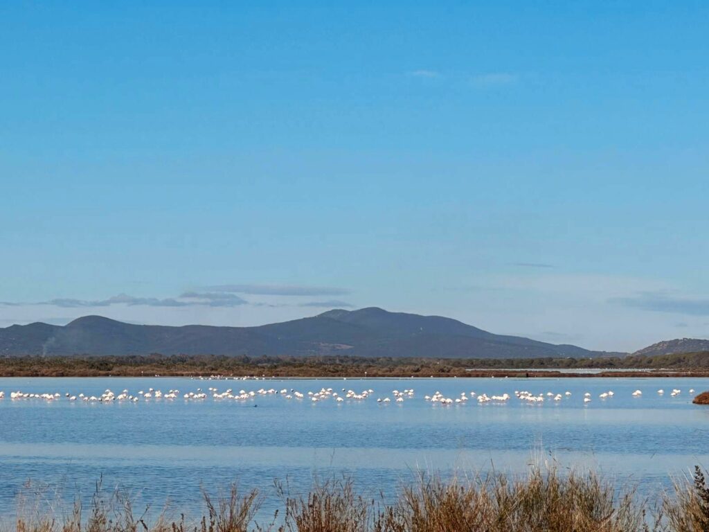 Boutiquehotel in der Maremma - Radicata Orbetello