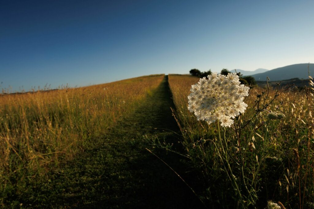 Ferienwohnung in den Marken - Borgo Tranquillo