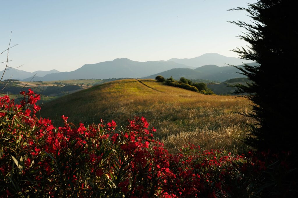 Ferienwohnung in den Marken - Borgo Tranquillo