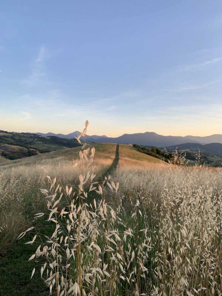 Ferienwohnung in den Marken - Borgo Tranquillo