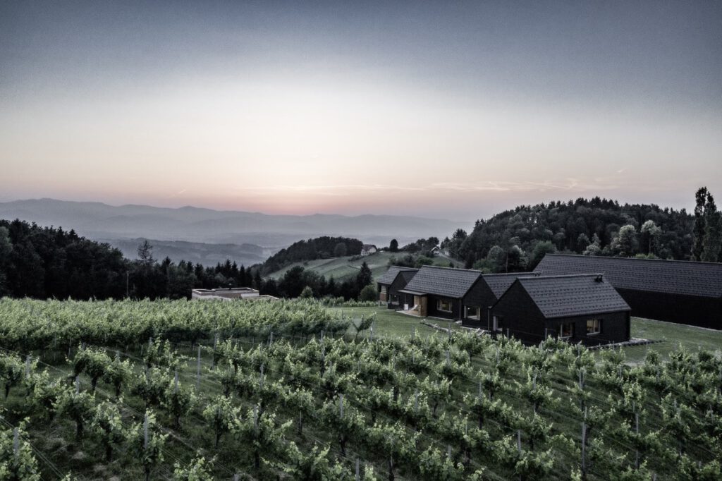 Urlaub auf dem Weingut Skringer Südsteiermark