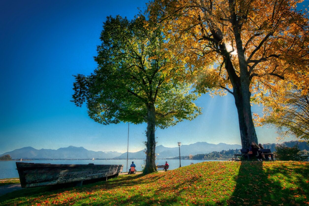 Top 5 - Abschalten und Kraft tanken in der Natur