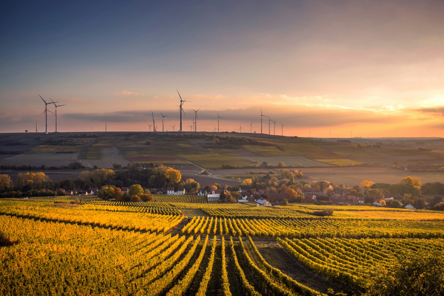 Geheimtipps Rheinhessen