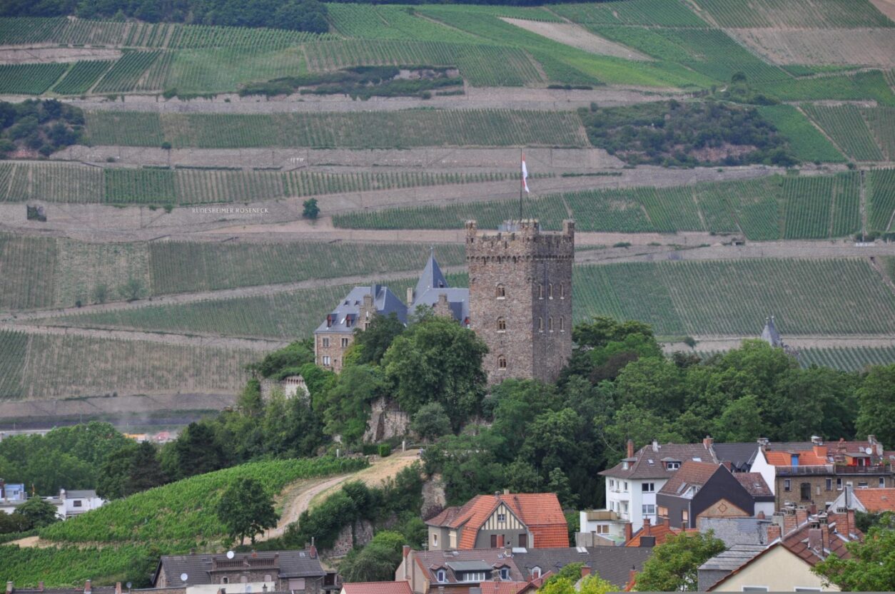 Geheimtipps Rheinhessen - Bingen