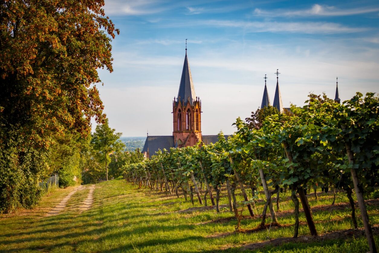 Geheimtipps Rheinhessen