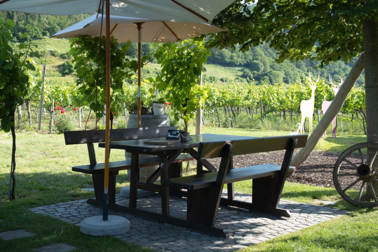 Weintipp Rheinhessen