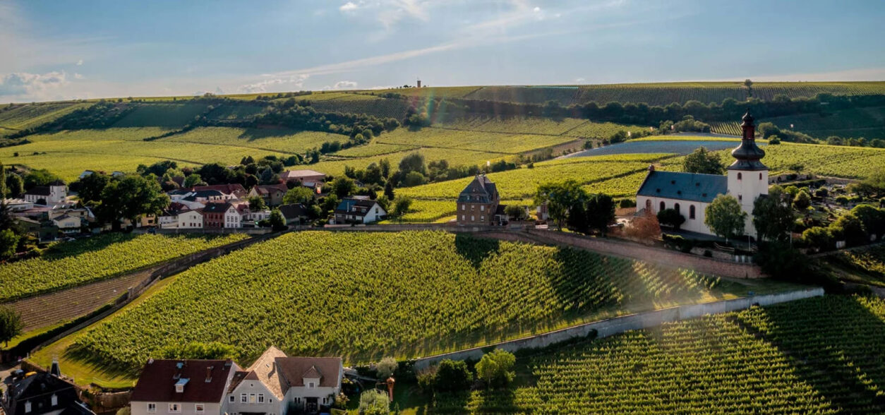 Weintipp Rheinhessen
