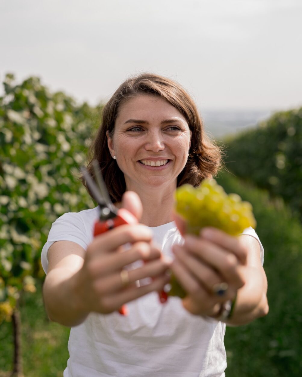 Weintipp Rheinhessen - Weingut Weedenborn
