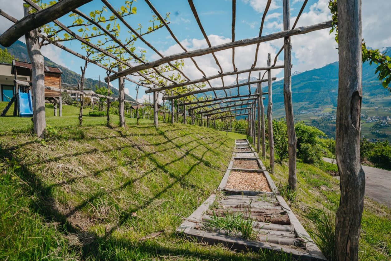 Ferienwohnungen Meran - Der Pataunerhof in Dorf Tirol