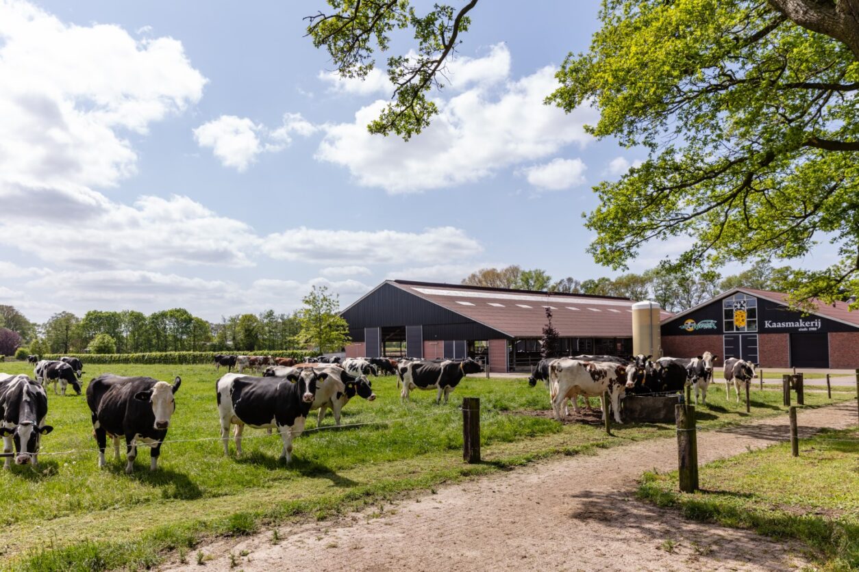 Geheimtipp Gelderland - Käsebauernhof Weenink