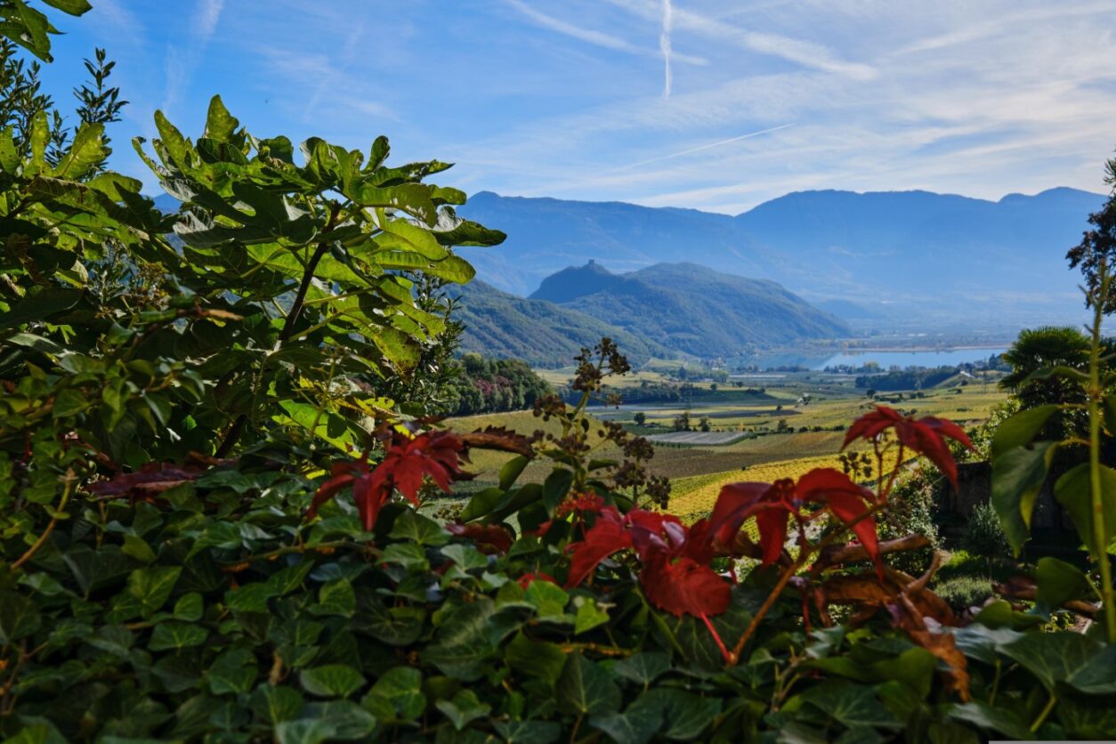 Weintipps am Kalterer See