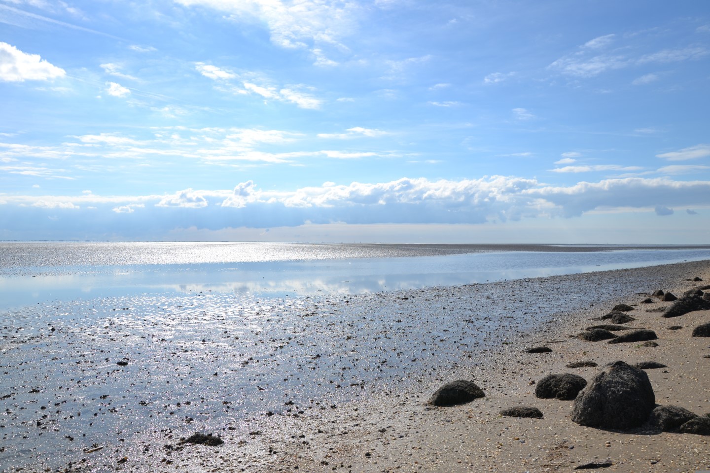Erlebnistipp im Rhythmus der Gezeiten: Nationalpark Wattenmeer in Dänemark