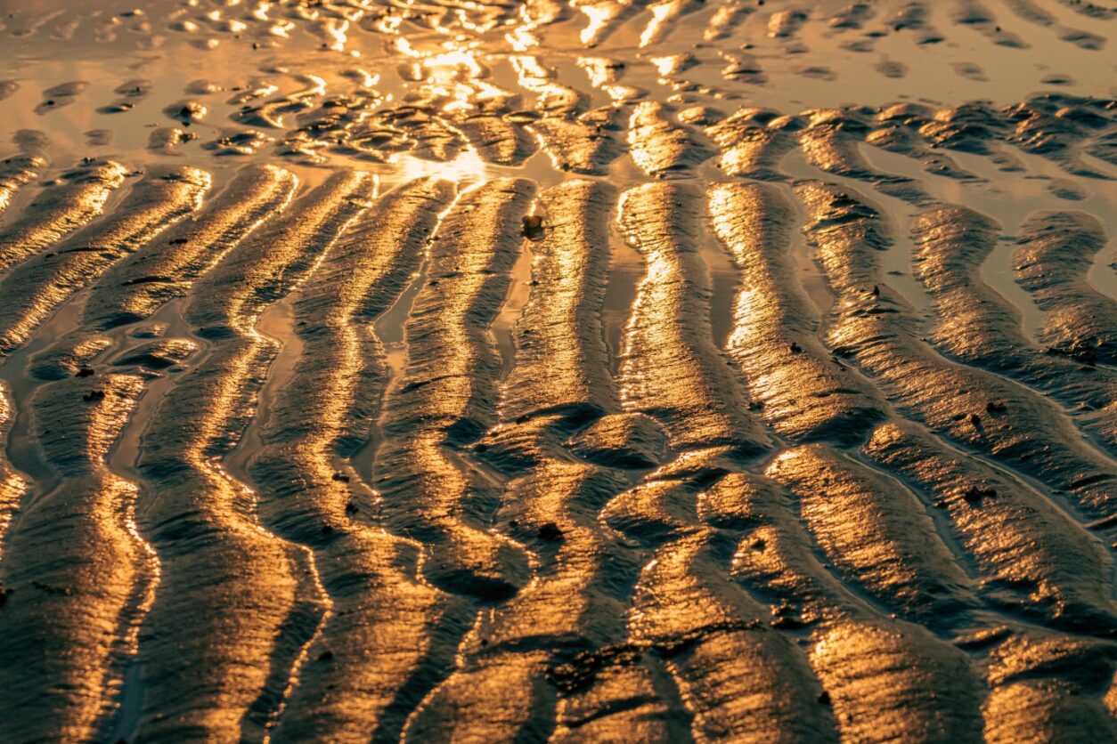 Erlebnistipp Nationalpark Wattenmeer in Dänemark