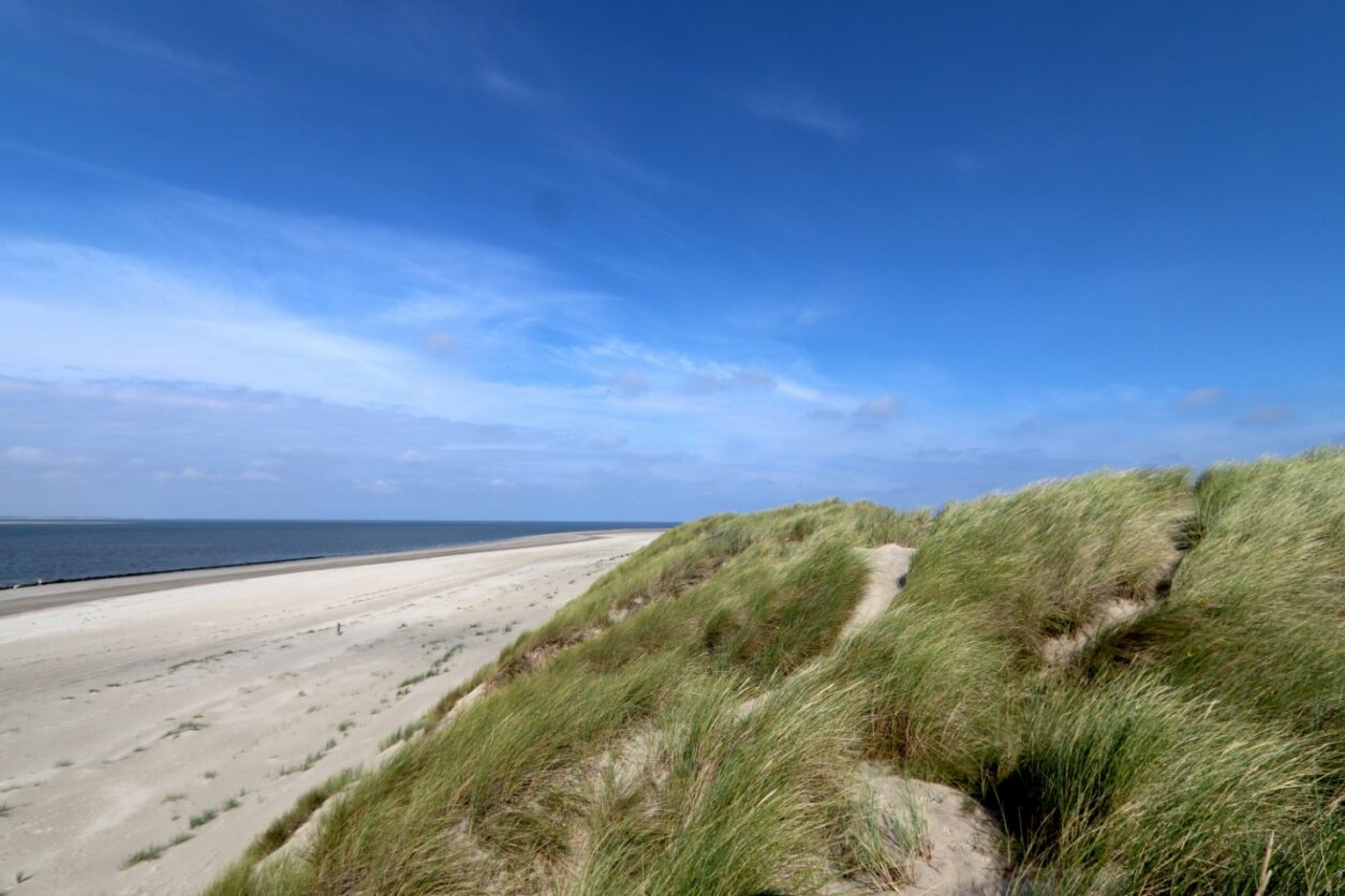Erlebnistipp Nationalpark Wattenmeer in Dänemark