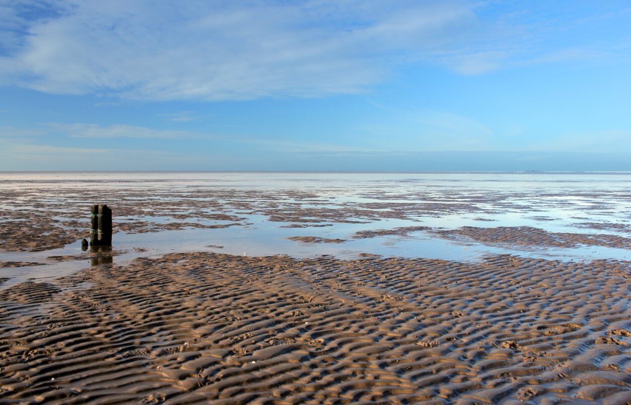Erlebnistipp Nationalpark Wattenmeer in Dänemark