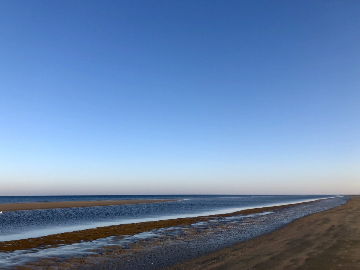 Erlebnistipp Nationalpark Wattenmeer in Dänemark - Romo