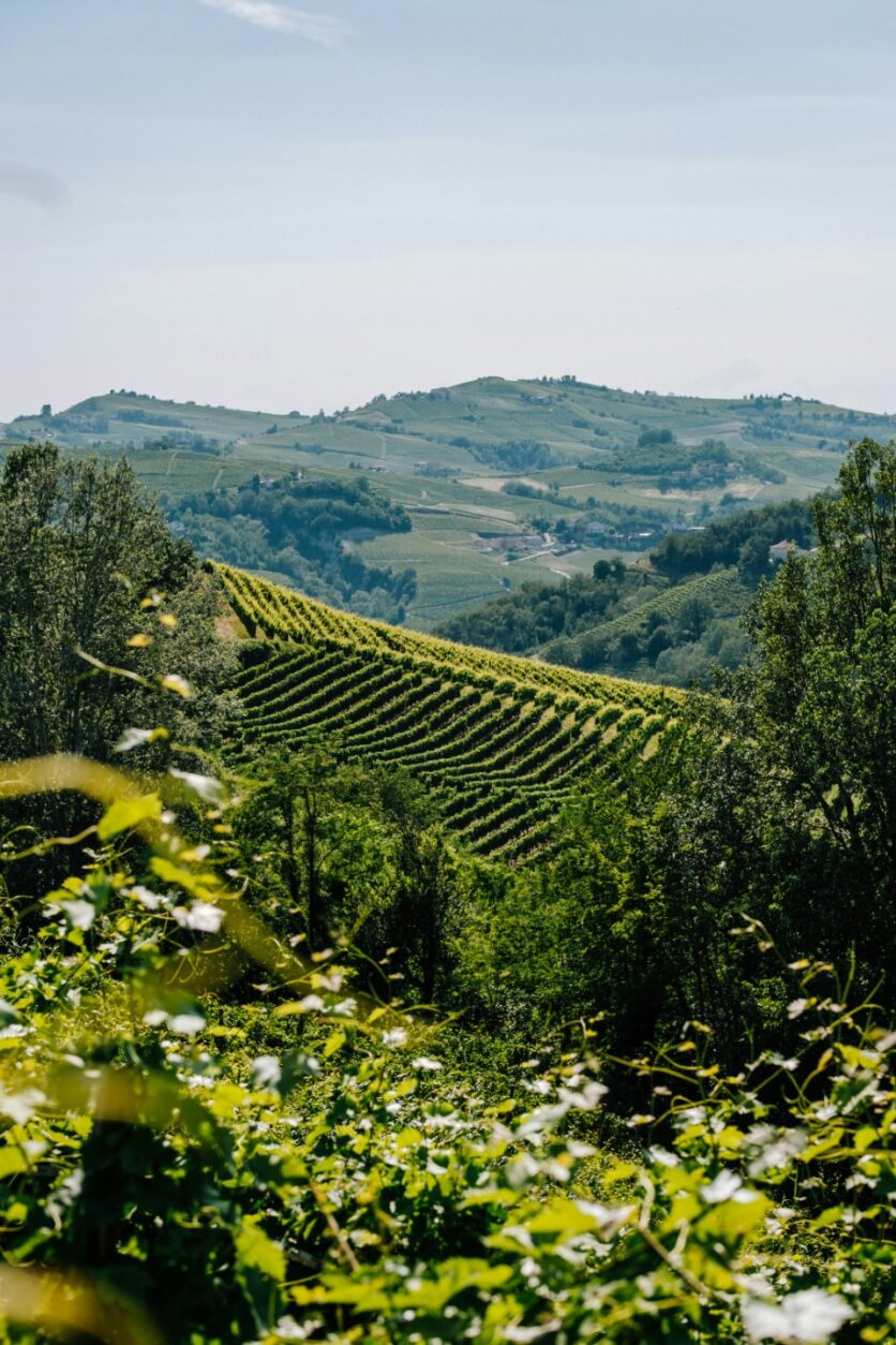 Qualitätsstufen und Weingesetz in Italien
