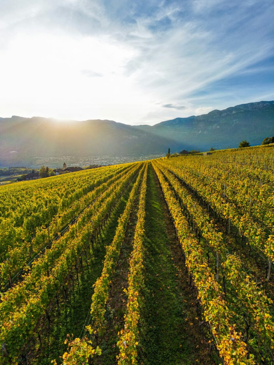 Qualitätsstufen und Weingesetz in Italien