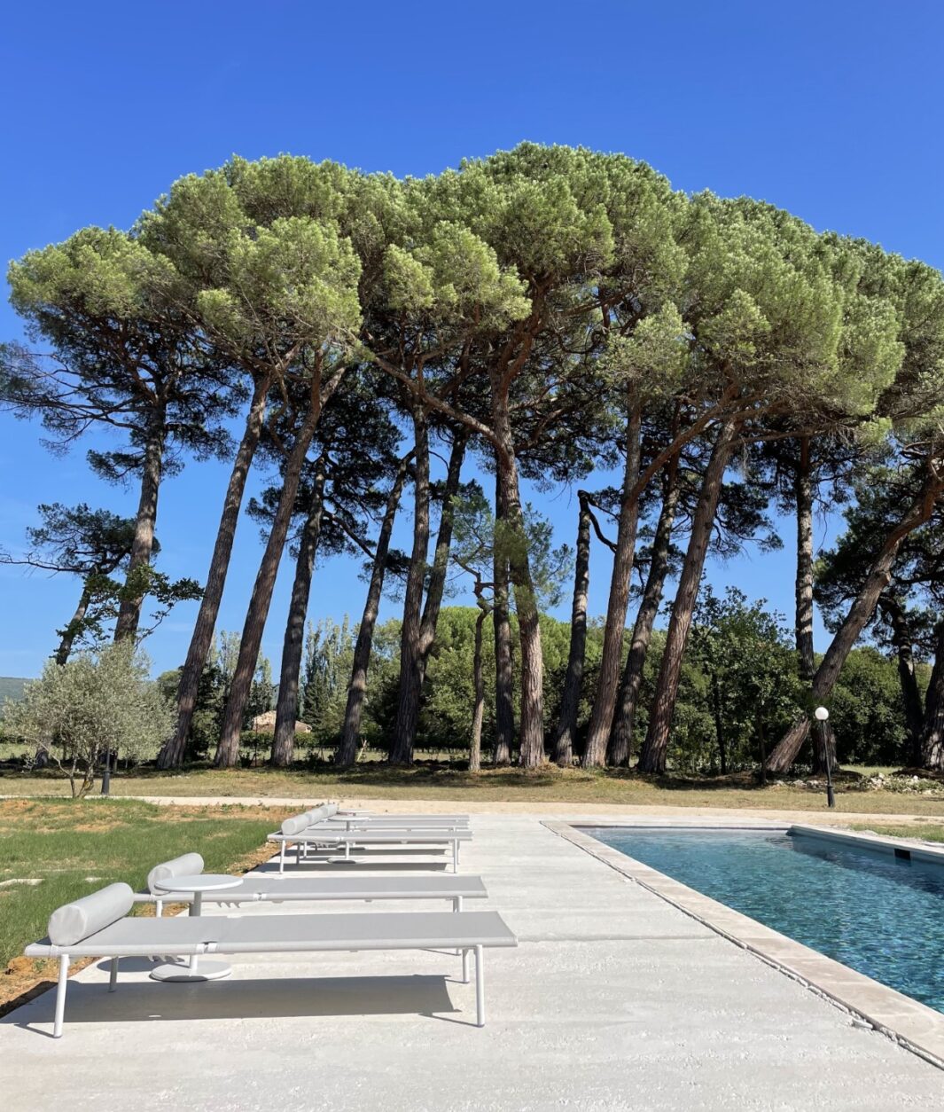 Boutiquehotel Provence - Gästehaus La Pavoyère