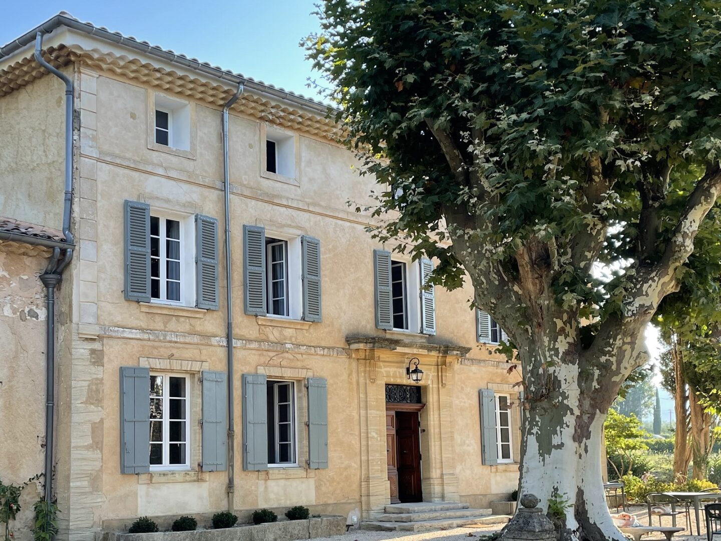 Provence, wie sie schöner nicht sein könnte: Gästehaus La Pavoyère