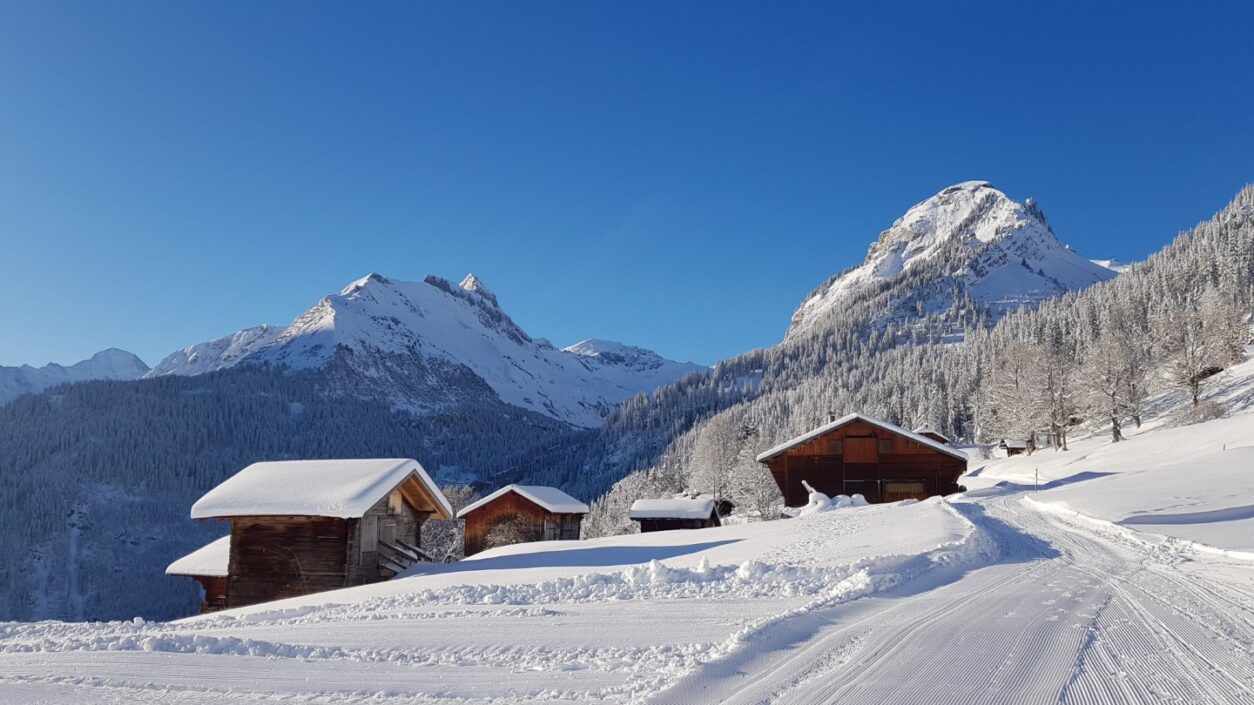 Top 5 für Skiurlaub in den Alpen