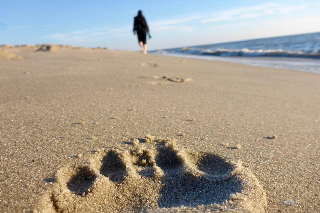 Urlaub am Wasser in Italien - unsere Top 5 Charmingplaces