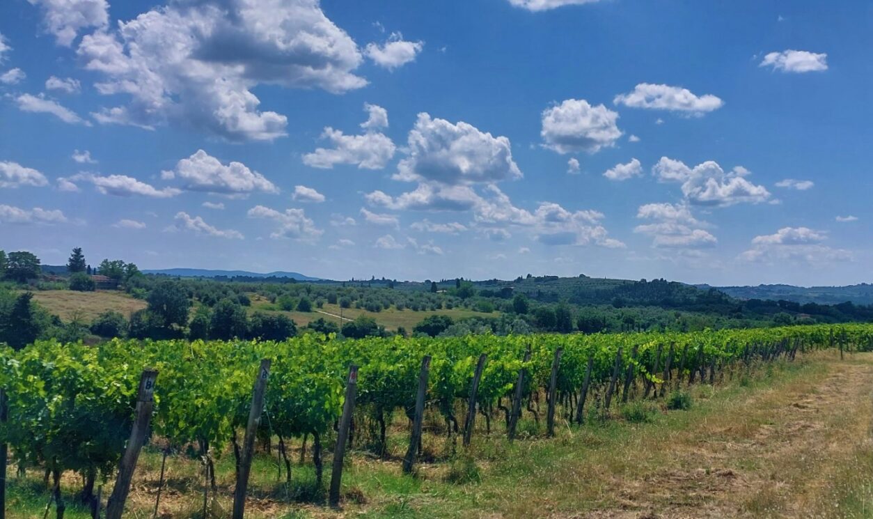 Ferienwohnungen bei Florenz - Le Civette Country Resort