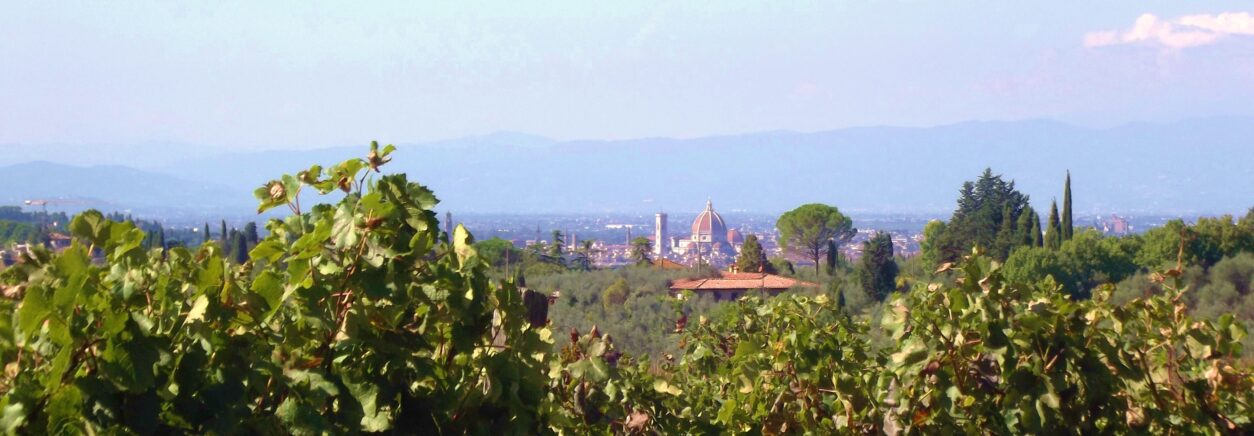 Ferienwohnungen bei Florenz - Le Civette Country Resort