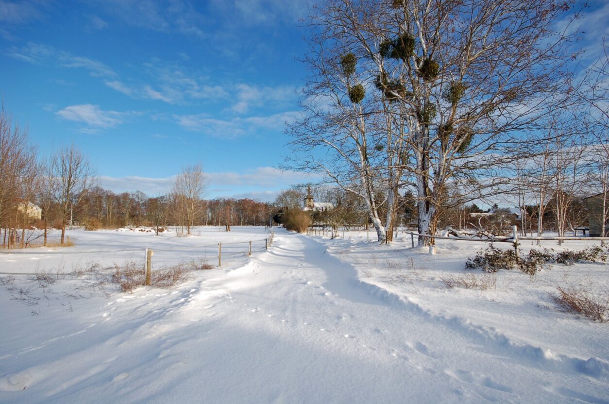 Pommernhaus - Ferienhäuser in Mecklenburg Vorpommern - Winter