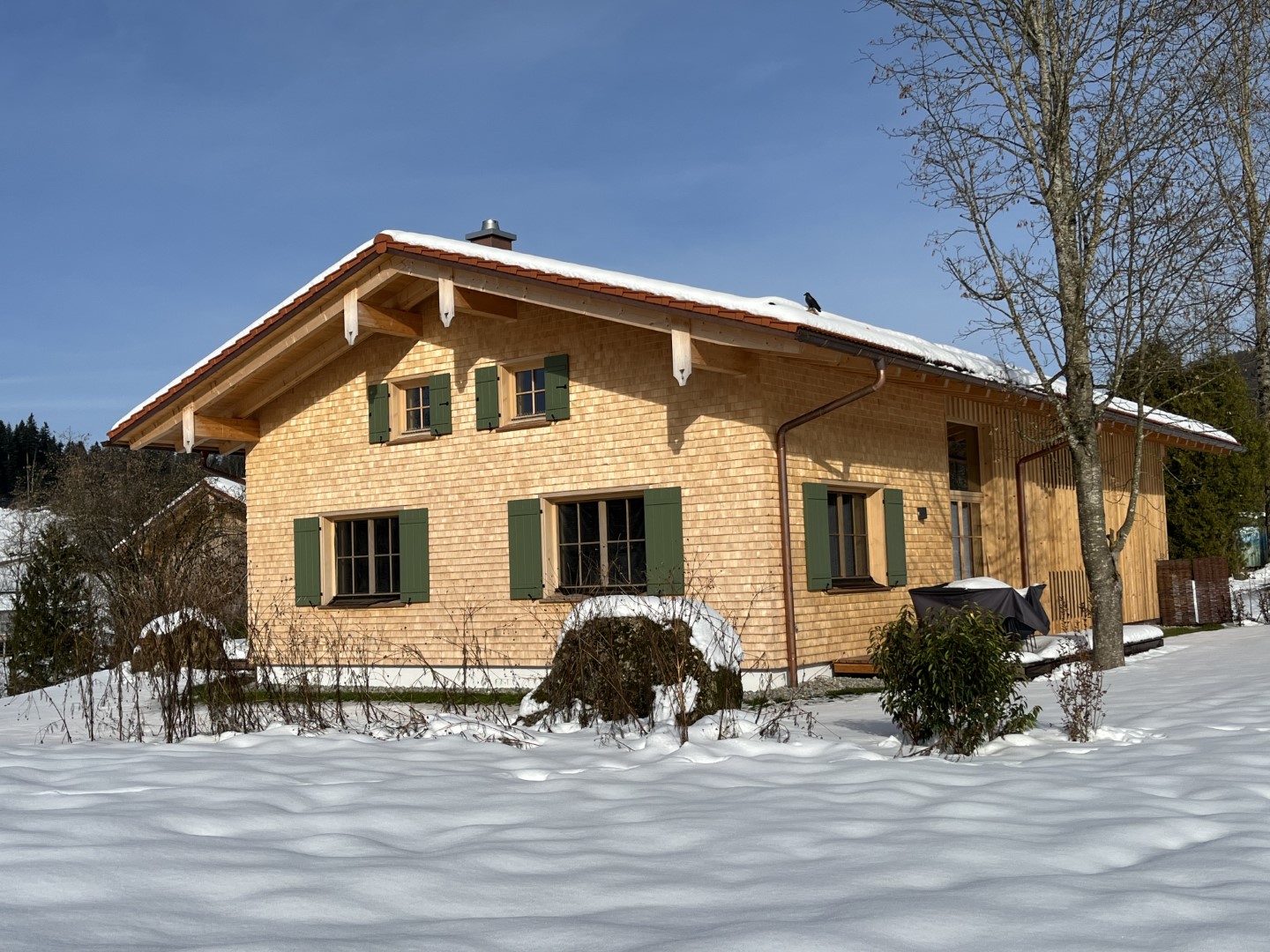 Ferienhaus Antons - Winter-Special