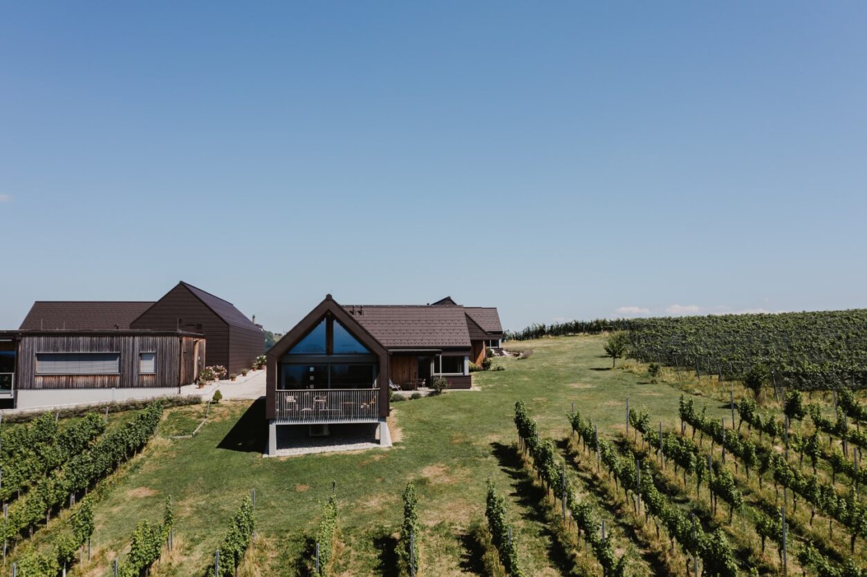 Urlaub auf dem Weingut Skringer in der Südsteiermark