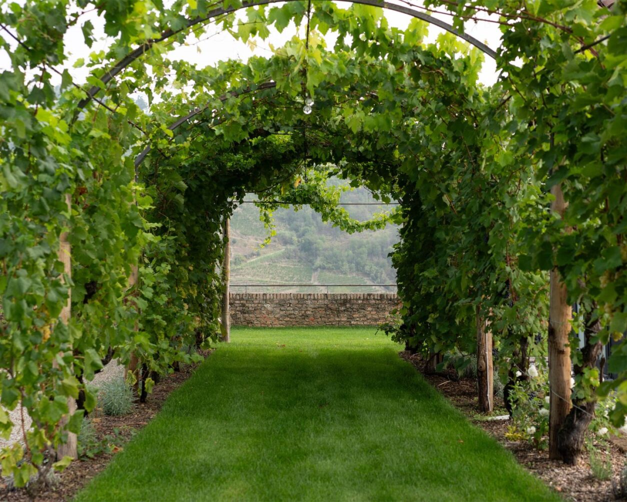 Vigne di Fagnano - Boutiquehotel im Piemont