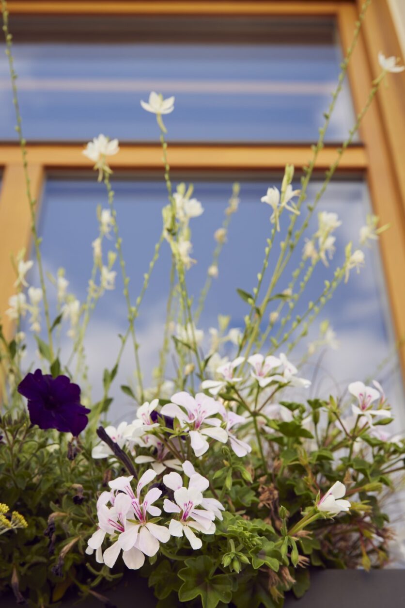 Boutiquehotel Oberfranken - Gasthof Alex Gössersdorf