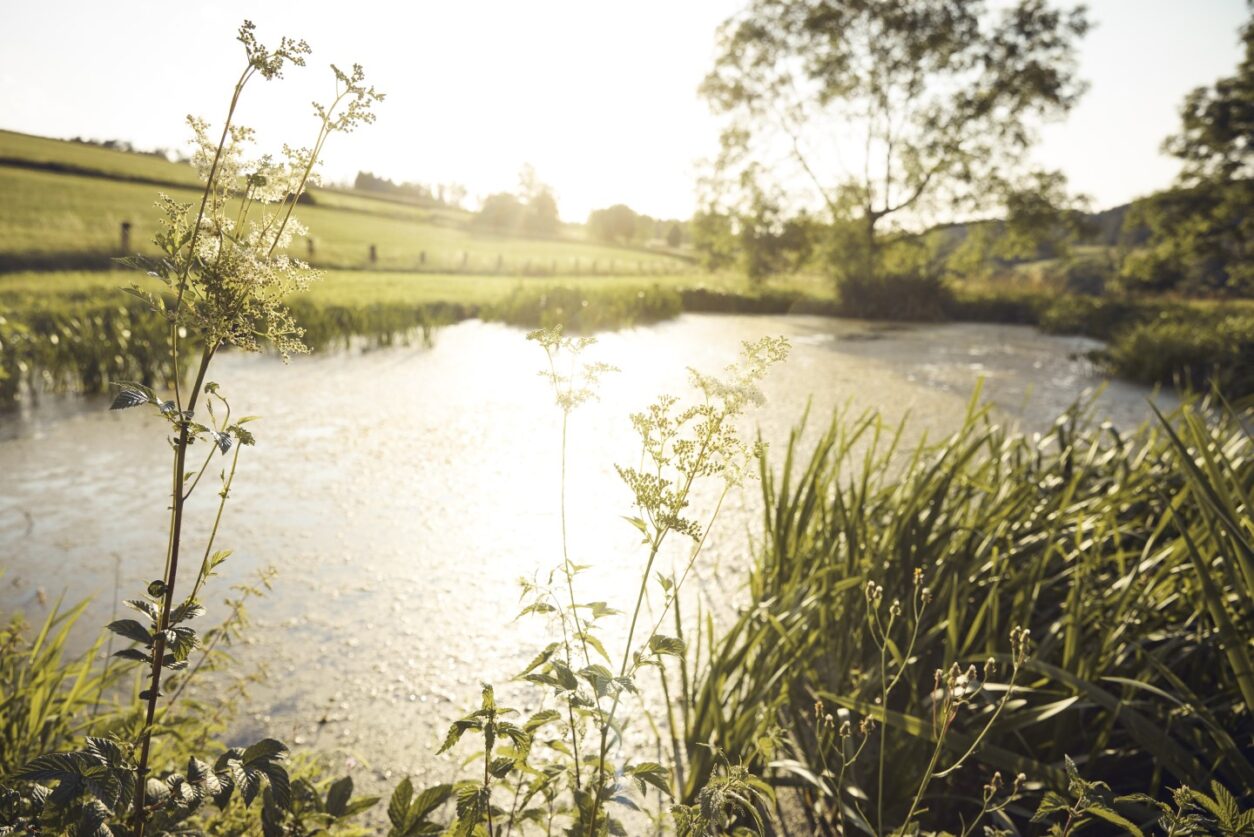 Boutiquehotel Oberfranken - Gasthof Alex Gössersdorf