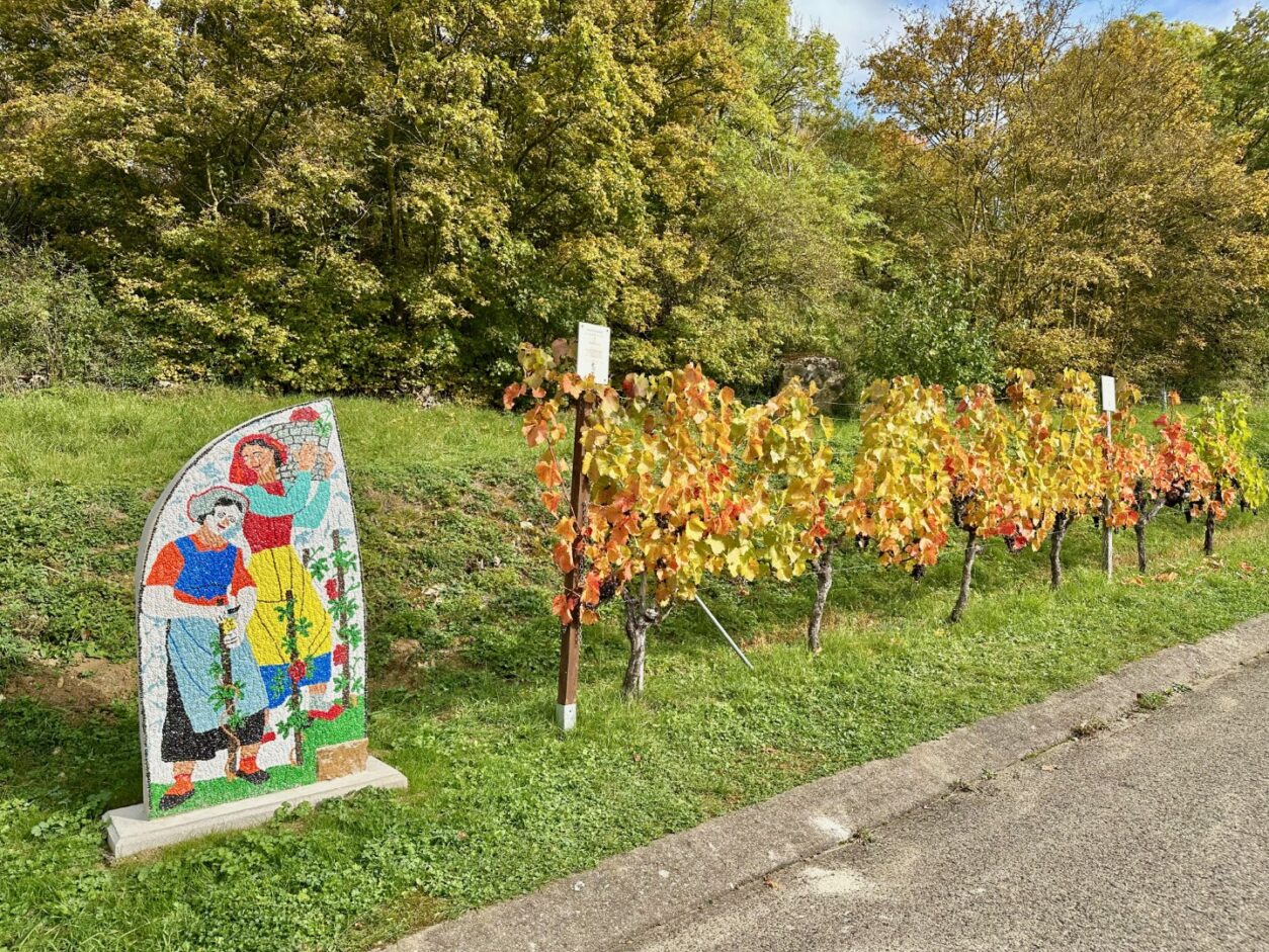 Geheimtipps Taubertal