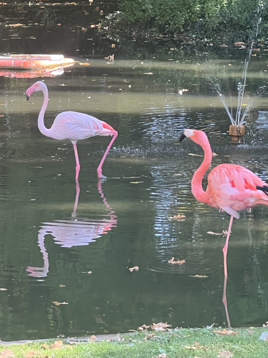 Glücksmomente in Italien