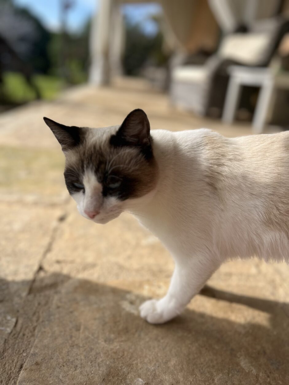 Glücksmomente in Italien