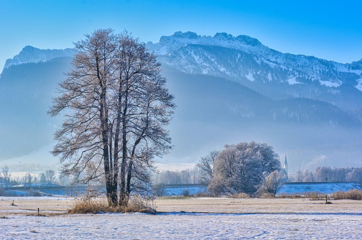 Top 5 - Winterurlaub in den Alpen