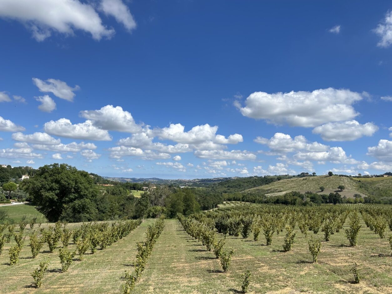 Apartments in den Marken - Casa Fugiano