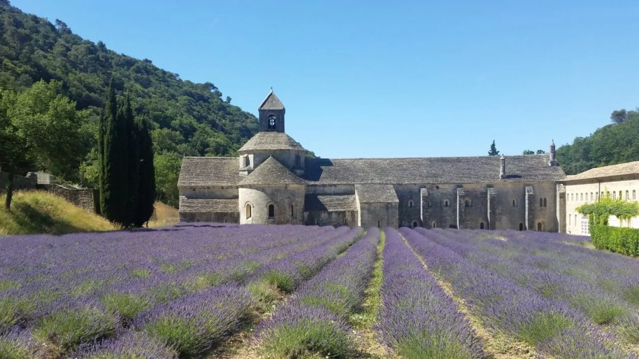 Provencal Ragot Erlebnistipps in der Provence - von klassisch bis kurios