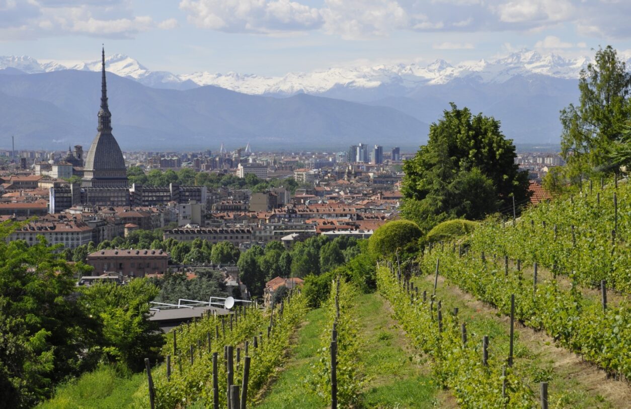 Geheimtipp Monferrato - Genussreise im Piemont - Turin