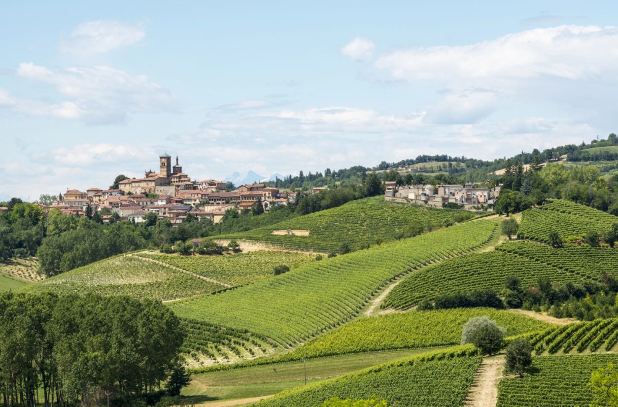 Geheimtipp Monferrato - Genussreise im Piemont