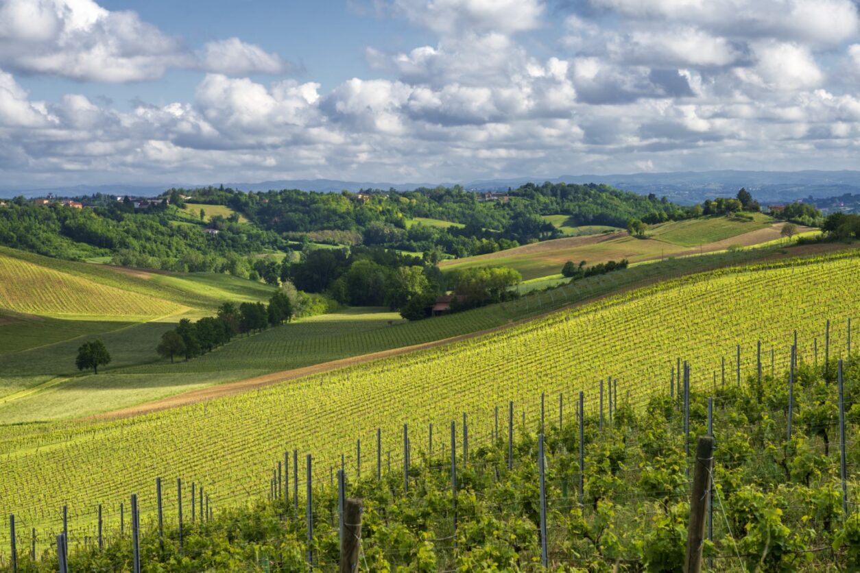 Geheimtipp Monferrato - Genussreise im Piemont