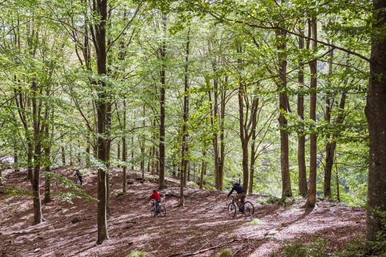 Lodges Toskana - Oasyhotel