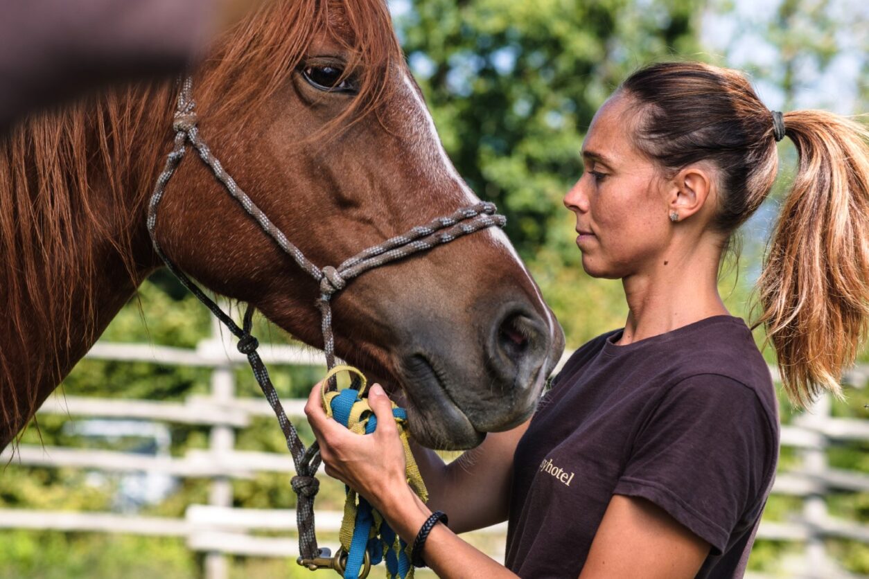 Lodges Toskana - Oasyhotel