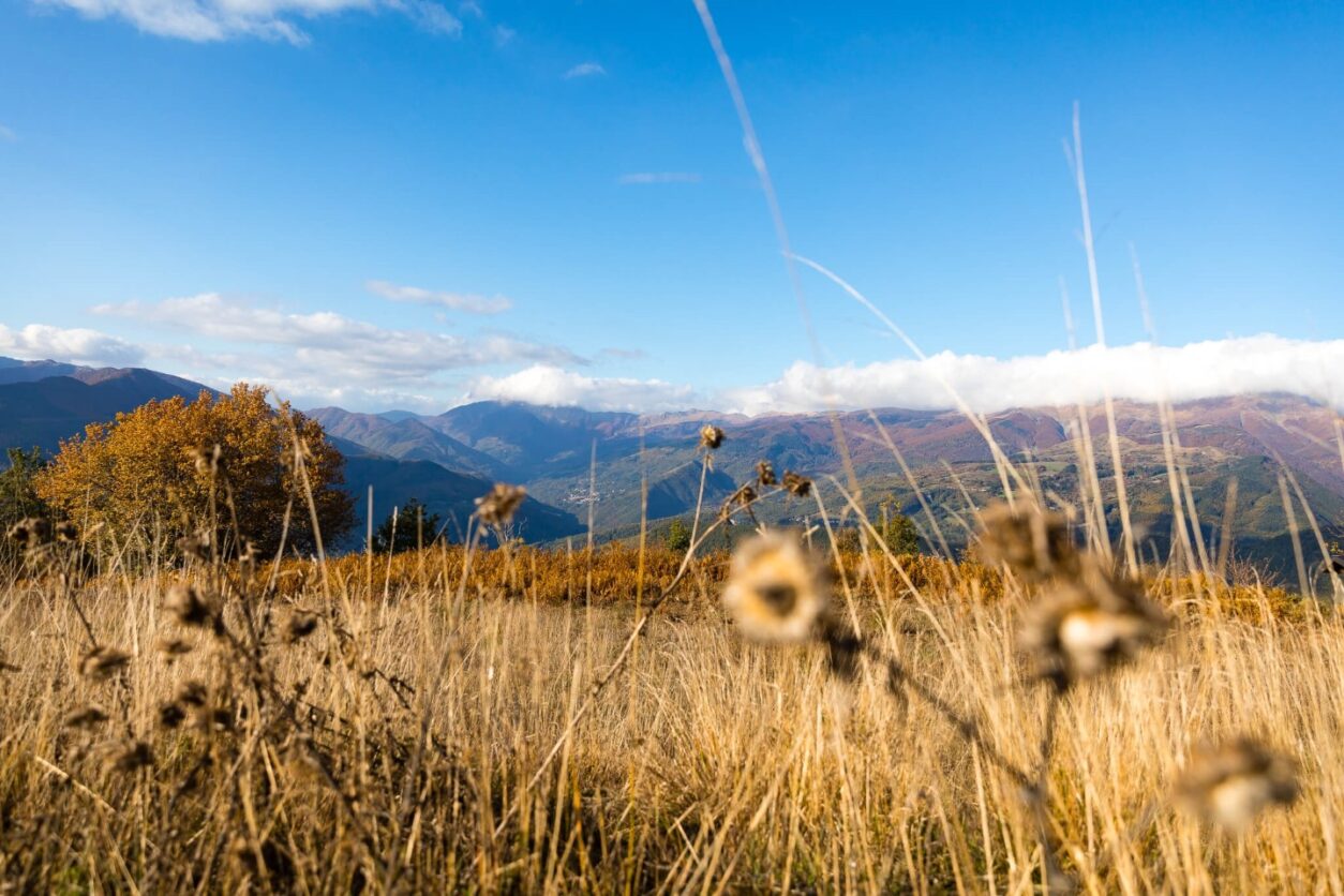 Lodges Toskana - Oasyhotel