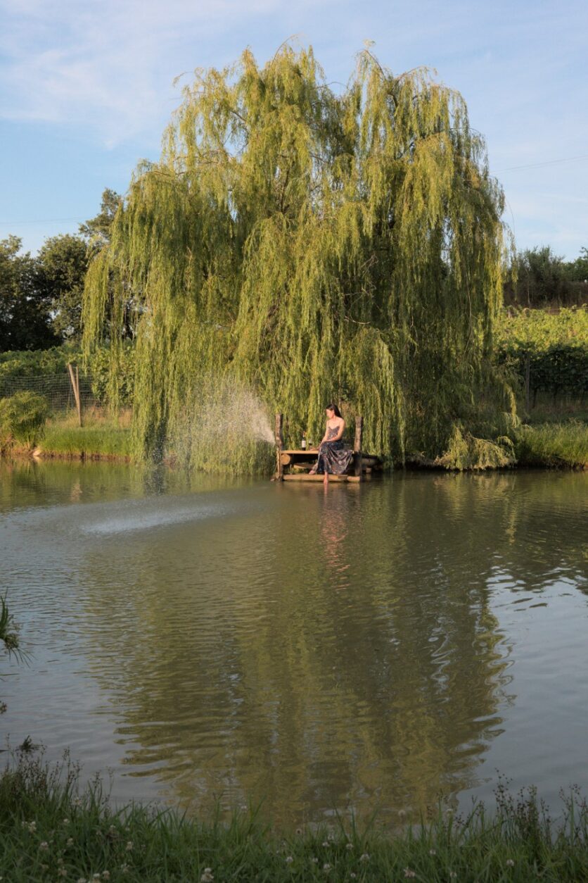 Bio Weingut in der Toskana - Poggio al Casone