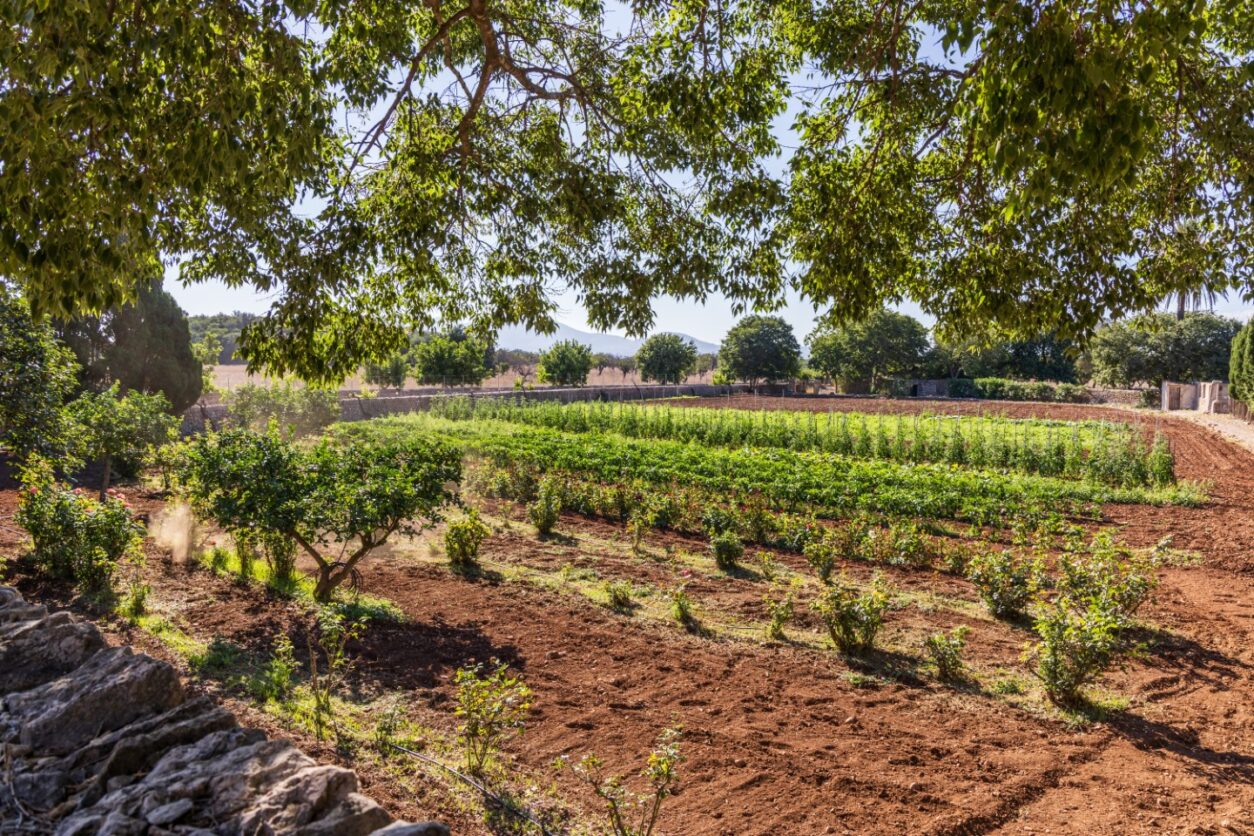 Boutiquehotel auf Mallorca - Hotel Llenaire