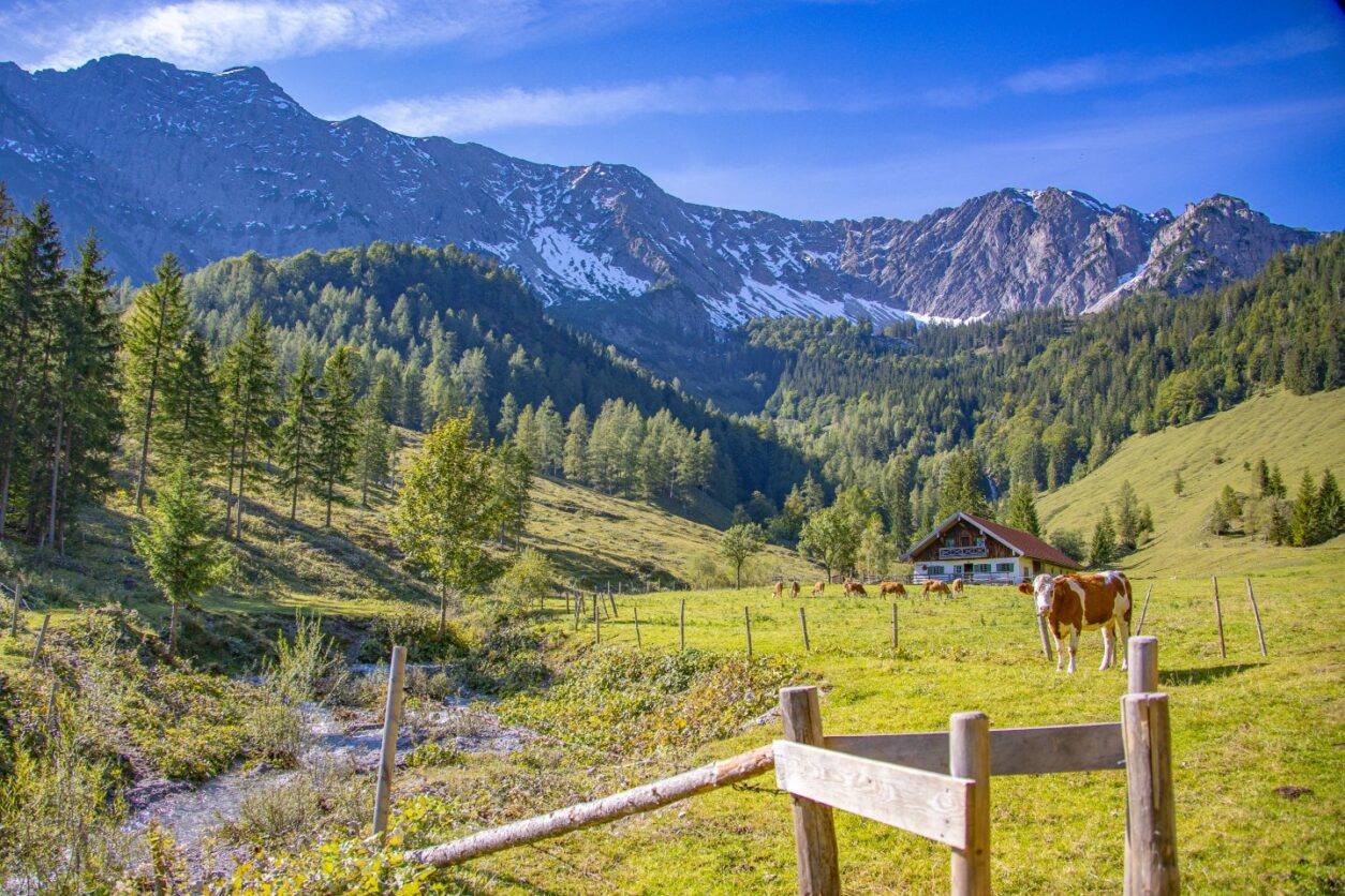 Geheimtipps Bayrischzell
