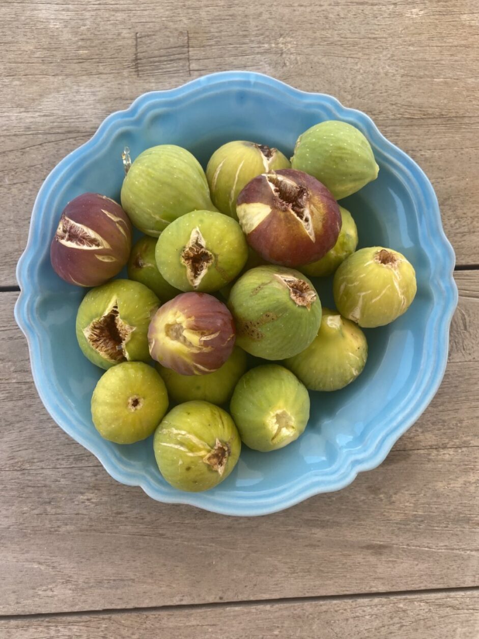 Trullo in Apulien - Trullo Grano di Puglia